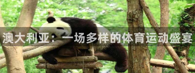 182体育红单足球官网入口：澳大利亚：一场多样的体育运动盛宴