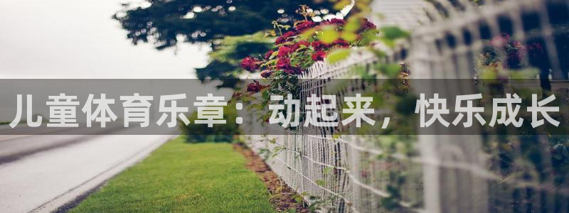 182体育正规吗：儿童体育乐章：动起来，快乐成长