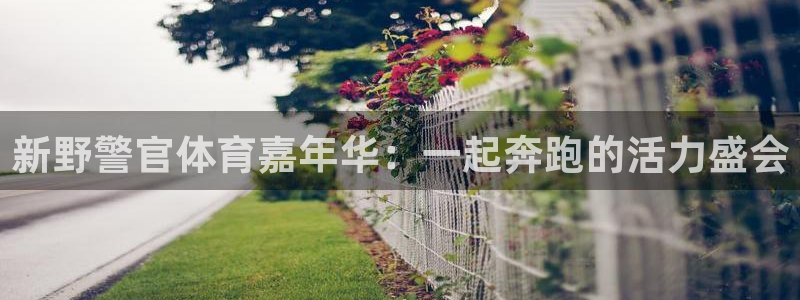 182体育正规吗：新野警官体育嘉年华：一起奔跑的活力盛会