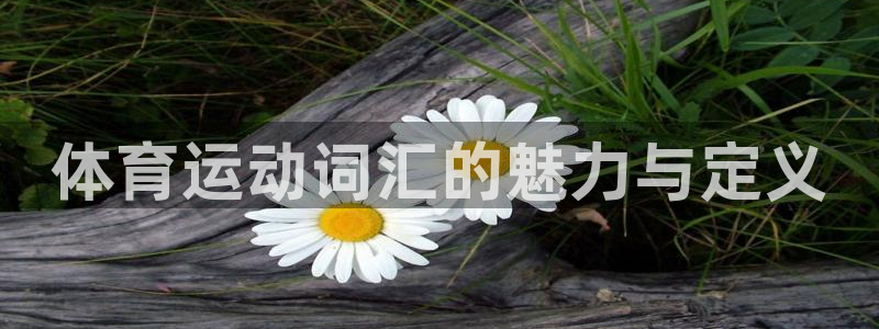 182体育app官方下载入口：体育运动词汇的魅力与定义