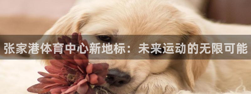 182体育app官方网站：张家港体育中心新地标：未来运动的无限可能
